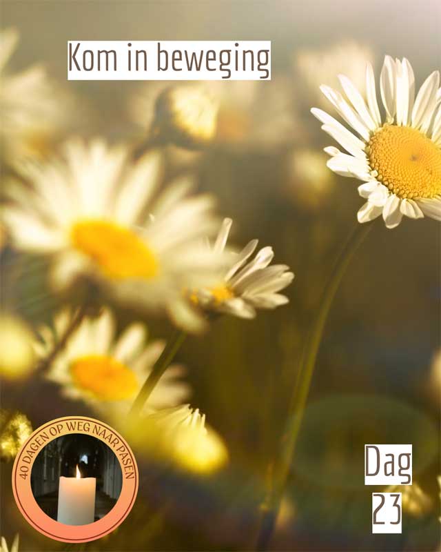 dag 23