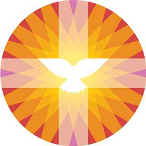 pkn logo